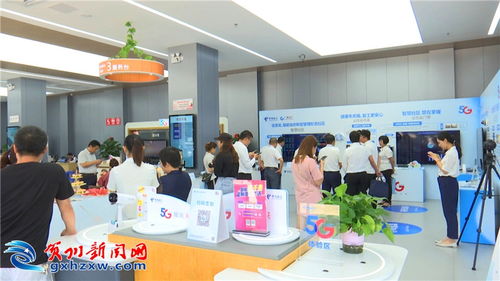 廣西電信5G信息化產(chǎn)品展示交流會在我市舉行，賦能金融信息咨詢新未來